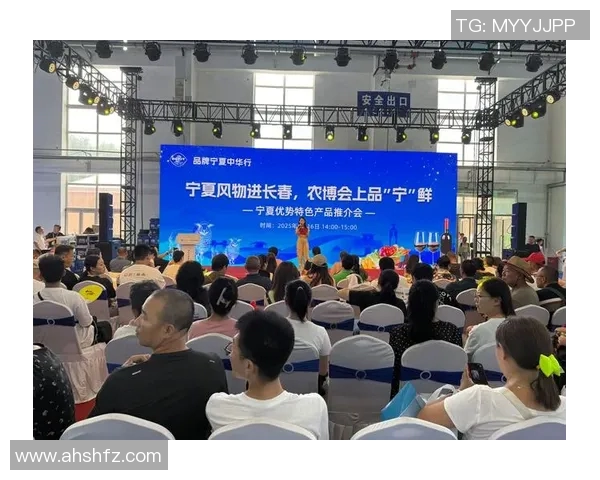 武汉篮球队意识对比分析：战术执行与团队协作的深度探讨